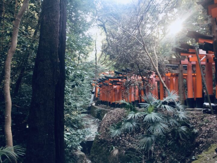Fushimi Inari Shrine